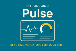 Introducing Pulse: Your SME’s Real-Time Business Vital Signs